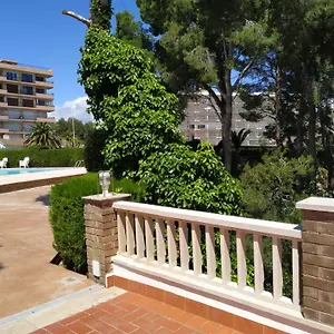 https://miami-palace-marguerite.catalonia-hotels.com